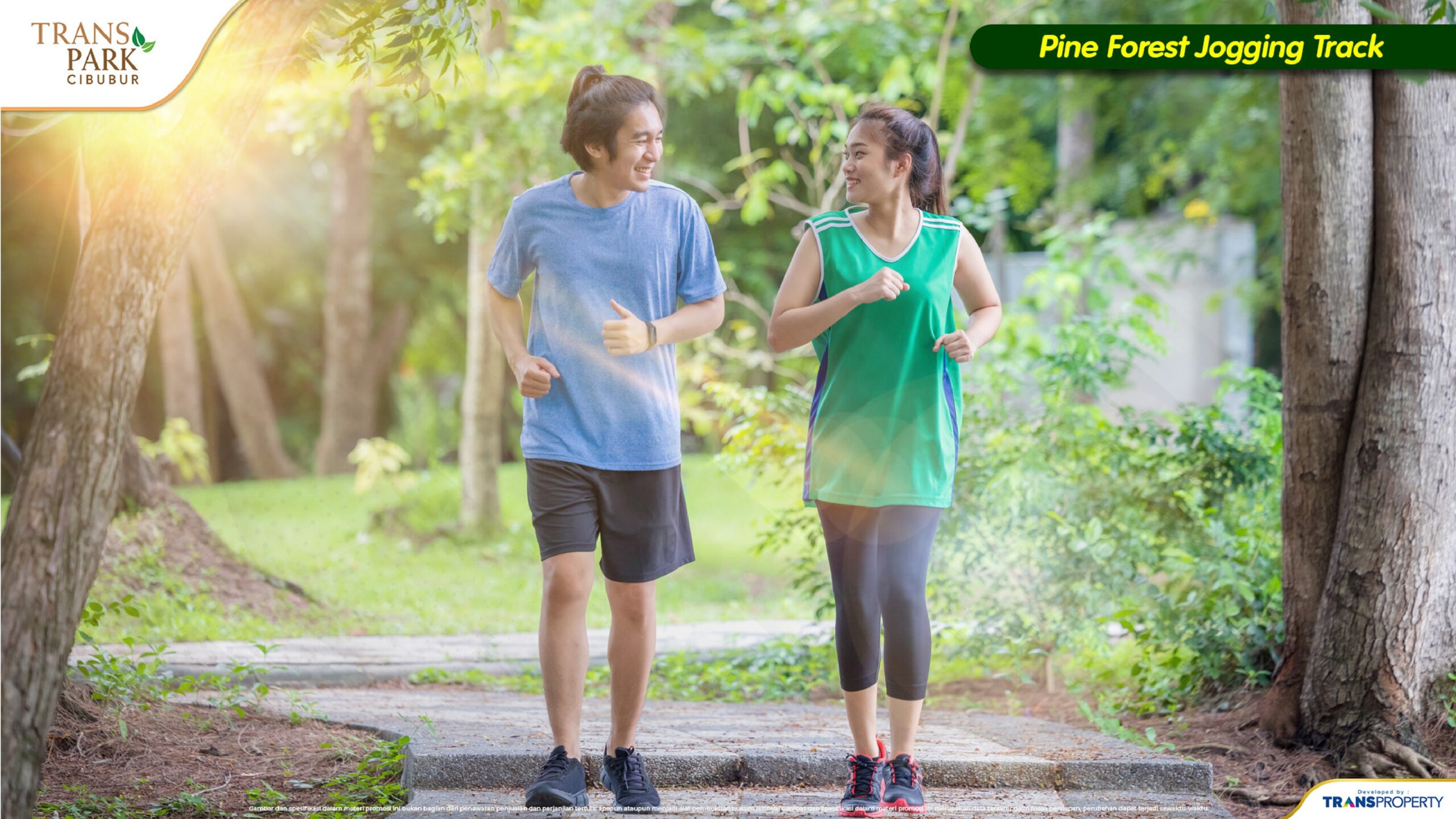 Pine Forest Jogging Track Pine Forest Jogging Track